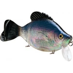 Storm WildEye Kickin' Slab - Black