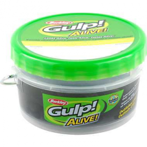 Berkley Gulp! Alive! Minnow/Leech Assortment - Assorted