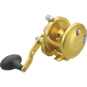 Avet Reels Magnetic Cast Control Reel - Silver, Saltwater Fishing