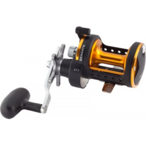 Daiwa Seagate Conventional Saltwater Reel, Saltwater Fishing