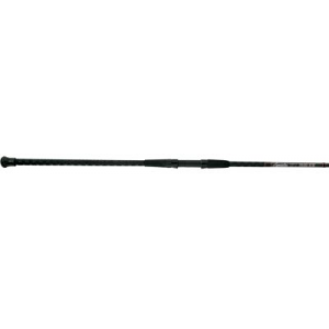 Lamiglas Insane Surf Spinning Rod, Saltwater Surf Fishing Rods