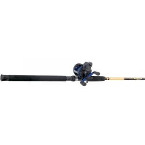 Cabela's Daiwa LC5 DepthMaster Trolling Combo - Stainless, Freshwater Fishing