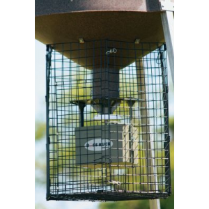 Boss Buck Deluxe Varmint Cage