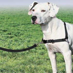 Premier Easy Walk Dog Harness (MEDIUIM)