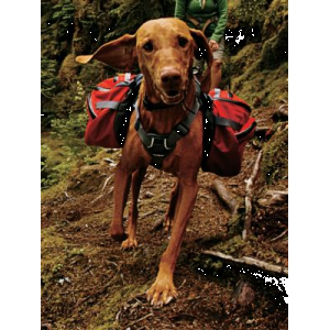 Ruffwear Palisades Pack - Red Currant (MEDIUM)