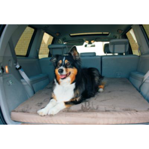 Buddy Beds Memory Foam Dog Travel Bed (MEDIUM)