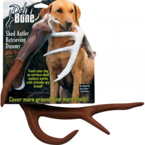 Dog Bone Antler Dummy - White