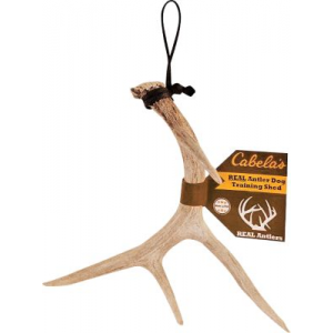 Cabela's Real Rack Dog-Training Shed