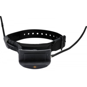 SportDog Brand TEK 1.0 E-Collar