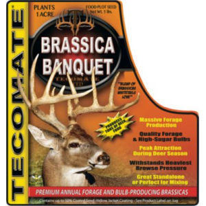 Tecomate Brassica Banquet
