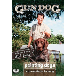 Gun Dog Intermediate Training DVD Pointing Dogs