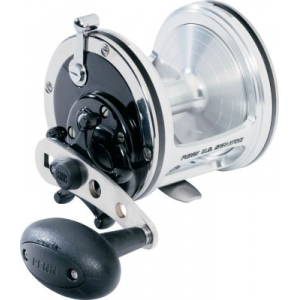 Penn US Senator Reel - Stainless, Saltwater Fishing