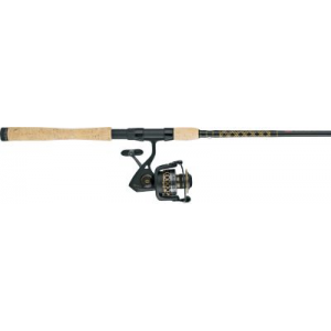 Penn Battle II Spinning Combo - Stainless