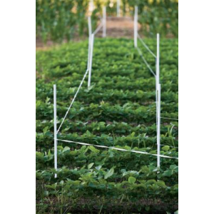 Gallagher 7/8 x 48 Posts - 20 Pack - White