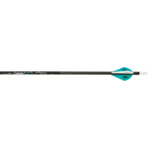 Cabela's Stalker Xtreme Arrows with Blazer Vanes Teal