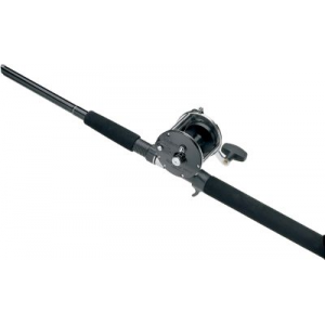 Penn Level Wind Trolling Combo - Stainless