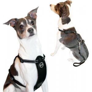 KTravel Safety Harness (SMALL)