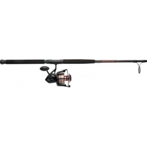 Penn Fierce II Saltwater Spinning Combo - Stainless