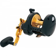 Daiwa Saltist Black Gold Conventional Reel, Saltwater Fishing