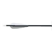 Cabela's Carbon Hunter with 4 AAE Vanes Per 12