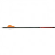 Carbon Express Thunderstorm Youth Arrow