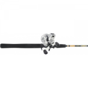 Daiwa AccuDepth Plus-B/Cabela's DepthMaster Trolling Combo - Stainless, Freshwater Fishing