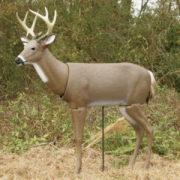 Primos Scar Deer Decoy