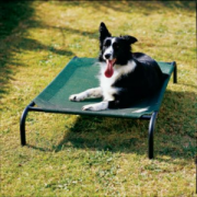 Gale Pacific Coolaroo Elevated Pet Bed (MEDIUM)