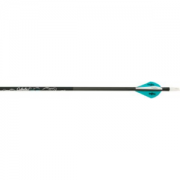 Cabela's Stalker Xtreme Arrows with Blazer Vanes Teal