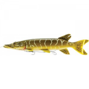 Savage Gear 3-D Pike - (001)Pike