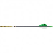 Beman ICS Bowhunter Arrows Per 6