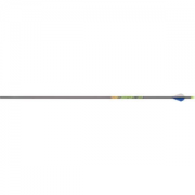 Gold Tip Hunter XT Arrows