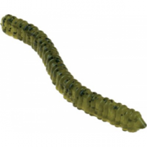 Zoom Salty Centipede - Green