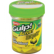 Berkley Gulp! Alive! Garlic Infused Floating Corn - White