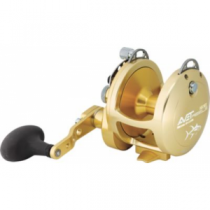 Avet Casting Reel - Gold