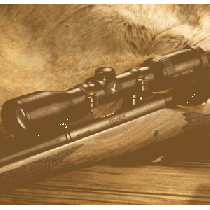 Swarovski Z6 Riflescopes