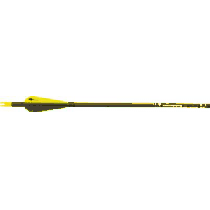 Gold Tip Lightning Youth Arrows - Per 6
