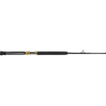 Ande Stand Up Rods, Saltwater Fishing