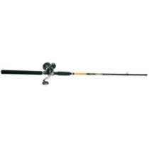 Rod And Reel Combo - Fishing Gear