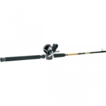 Penn 209LC/Cabela's DepthMaster Trolling Combo - Stainless, Freshwater Fishing