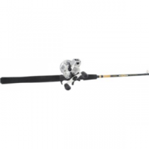 Daiwa AccuDepth Plus-B/Cabela's DepthMaster Trolling Combo - Stainless, Freshwater Fishing