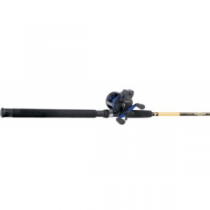 Cabela's Daiwa LC5 DepthMaster Trolling Combo - Stainless, Freshwater Fishing