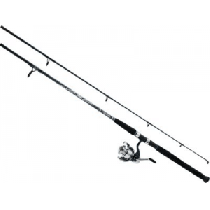 Daiwa D Wave Spinning Combo - Stainless
