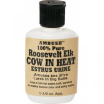 Moccasin Joe Roosevelt Elk Cow In Heat Urine