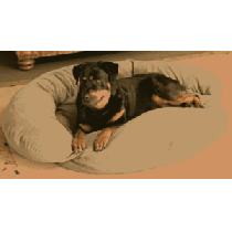 Cabela's Velvet Microfiber Bolster Dog Bed - Caramel (SMALL)