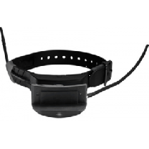 SportDog Brand TEK 1.0 E-Collar