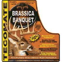 Tecomate Brassica Banquet