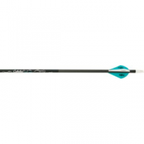 Cabela's Stalker Xtreme Arrows with Blazer Vanes Teal