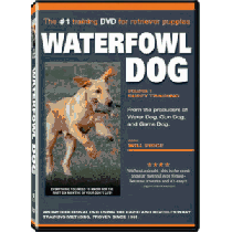 Mid Carolina Media Waterfowl Dog DVD