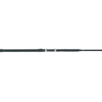 Penn Carnage II Surf Casting Rod